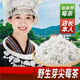 花色堂2025新茶張美麗莓茶張家界永順野生龍須嫩芽尖藤茶長壽湖南特產(chǎn) 精品野生新貨[牙尖莓茶]僅剩7 特價:瘋搶:頭茬龍須莓茶共500克含罐]發(fā)4罐