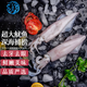 七冰東 新鮮大魷魚 原條冷凍深海烏賊超大鐵板魷魚燒烤火鍋食材海鮮水產(chǎn) 新鮮整條大魷魚 3斤(凈重)  4條 7-8兩/條