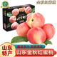 南步山東金秋紅蜜桃 水蜜桃映霜紅蜜桃子脆甜冬桃應季新鮮孕婦水果禮 4.5斤 精選中果【約11-13顆】