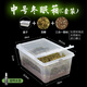 龜友天下小烏龜冬眠裝備椰土苔蘚草沙土墊材爬蟲(chóng)保暖冬天保溫箱爬寵過(guò)冬箱 中號冬眠箱(C套裝)