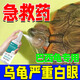 沃它烏龜白眼病藥專用滴眼液巴西龜眼藥水眼睛睜不開沃它護(hù)龜寶噴霧 烏龜白眼急救【1瓶】