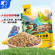 開(kāi)元（KO）鸚鵡家族系列鳥(niǎo)食虎皮谷子添加專(zhuān)用滋養丸中小型鸚鵡飼料鳥(niǎo)糧 虎皮鸚鵡專(zhuān)用