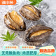 海小舟活凍鮑魚(yú)肉 去殼去牙去內臟 400g