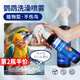 格萊德小太陽(yáng)和尚牡丹玄風(fēng)虎皮鸚鵡洗澡清潔免洗噴霧體外驅蟲(chóng)噴霧劑用品
