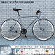 ICOLOUR死飛自行車(chē)男實(shí)心胎活飛雙碟剎輕便公路賽網(wǎng)紅成年學(xué)生成人女單車(chē) 40刀碟剎鈦銀色 26寸【適合165-185cm】
