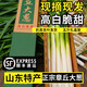 良知農(nóng)哥【順豐】山東章丘大蔥禮盒裝 章丘大梧桐生脆微辣 新鮮蔬菜 章丘大蔥5斤 【凈重發(fā)貨，精選品質(zhì)】
