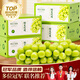 隆千采云南陽(yáng)光玫瑰葡萄青提無(wú)籽香印提子 新鮮水果中秋節水果禮盒裝 3斤單果8-10g禮盒裝凈重2.5斤起