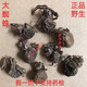 大黑蜘蛛中藥材精選新貨黑蜘蛛干藥用黑蜘蛛5只款支持藥檢內廷上用 蜘蛛5只