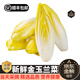 青櫻紅荔新鮮菊苣菜白金玉蘭菜【順豐送貨上門(mén)】芽球軟化蔬菜沙拉酒店食材 1500g【實(shí)惠裝】