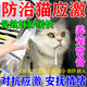 修正寵慕貓咪費洛蒙面部信息素發(fā)情噴霧安眠快速睡覺(jué)麻醉鎮定劑加了巴噴丁 一盒寵物情緒舒緩噴劑 外出暈車(chē)藥貓貓防應激防亂咬叫新貓貓到家