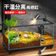 爬將軍烏龜生態(tài)缸超白玻璃生態(tài)水陸底排水造景半水龜蛙蟹專用帶蓋兩棲缸 40超白兩棲缸【循環(huán)過濾套餐】