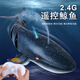 華詩(shī)孟仿真遙控鯊魚(yú)電動(dòng)可下水鯨魚(yú)會(huì)噴水搖擺巨齒鯊模型遙控船水上玩具