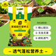 史丹利疏松透氣營(yíng)養土養花通用型專(zhuān)用種植土花土家用種花種菜土壤