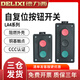 德力西LA4-2H自復(fù)位按鈕盒開關(guān)控盒二位二聯(lián)啟動停止按鈕開關(guān) LA4-3H