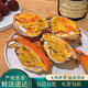 正宗黃油蟹鮮活膏油蟹3-7兩海蟹螃蟹源頭直發(fā)順豐包活送達 膏油黃油蟹4-5兩/只 200g 簡裝 1只裝（嘗鮮推薦）