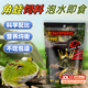 智宙 角蛙飼料蛙糧小青蛙糧營(yíng)養(yǎng)樹蛙食物丑娃兩棲爬寵活糧小龜蛙糧食 【泡水即食】角蛙飼料