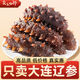 賣魚七郎即食海參野生遼參底播大連海參刺參干貨500g 7A 實(shí)惠款 11到15頭/斤 一斤裝