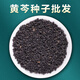 黃芩種子中藥材非野生黃芩籽四季種植苗抗旱能力強(qiáng)可泡茶另柴胡 黃芩種子50克裝