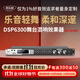 麥樂迪DSP6300卡拉ok混響器 數(shù)字音頻前級效果器 家庭影院防嘯叫調(diào)音臺處理器含話筒 調(diào)音臺均衡器 DSP6300藍(lán)牙升級版(含線) 標(biāo)準(zhǔn)版