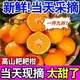 胖東來(lái)同款爆甜春見(jiàn)耙耙柑丑橘正宗高山四川耙耙柑當季新鮮水果 今年必吃系列四川春見(jiàn)耙耙柑 耙耙柑大果【帶箱4.6-5斤】老樹(shù)新果