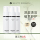 枝白 WHITE BRANCH枝白氨基酸潔面泡泡溫和清潔毛孔細膩泡沫凈顏肌膚慕斯洗面奶男女 3瓶裝435ml