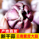 辰實【新干蒜】新鮮紫皮大蒜 云南獨頭蒜三瓣蒜 大蒜農(nóng)家蔬菜臘八蒜 4.5斤（多蒜瓣）