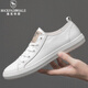 洛克華菲（Rock Fairwhale）新款小白鞋男板鞋秋季大小碼韓版男鞋子透氣休閑鞋平底青年鞋 白色 40