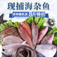鹿凌青非冷凍冰鮮雜魚盲盒 應(yīng)季海捕野魚多種隨機(jī)發(fā) 自然捕撈 海鮮魚類 【應(yīng)季冰鮮雜魚】5斤 【拒絕冷凍貨】