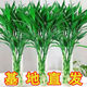 富貴竹水培植物盆栽綠植花卉室內(nèi)花客廳招財(cái)水養(yǎng)轉(zhuǎn)運(yùn)竹節(jié)節(jié)高 粗竹80厘米左右高度10顆 不帶花瓶