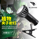 光聯(lián)天下led全光譜植物補(bǔ)光燈自然光塊根龍舌蘭月季蘭花生長(zhǎng)燈魚缸爆藻燈 30W【全光譜5000K】48°帶燈夾