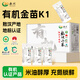 赤川 敖漢有機黃小米50g*21袋 金苗K1（內蒙古赤峰小米粥雜糧粥）