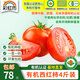 彩虹雨【基地直發(fā)】有機(jī)西紅柿番茄有機(jī)認(rèn)證蔬菜歐盟認(rèn)證北京有機(jī)農(nóng)場 有機(jī)西紅柿 4斤