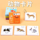 貝木惠（beimuhui）可水洗早教認知卡寶寶卡片撕不爛啟蒙嬰兒童識字看圖水果動(dòng)物 【動(dòng)物+動(dòng)物】(雙面可水洗)30張