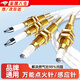 圣必太燃氣灶點(diǎn)火針感應針打火針煤氣灶電池爐頭點(diǎn)火器配件 點(diǎn)火針+感應針 帶線(xiàn)全品牌通用款