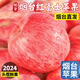 司道和山正宗山東煙臺紅富士蘋(píng)果新鮮水果4.5斤當季整箱圣誕平安果棲霞 75-80MM【中果】 凈重8.5斤