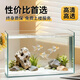 坤寧王玻璃魚(yú)缸家用小型桌面裸缸生態(tài)缸造景客廳溪流缸烏龜缸50*26*30cm