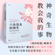 【貝頁(yè)】六角恐龍的微笑 一首大自然的贊美詩(shī)，一部愛(ài)與歸屬的回憶錄