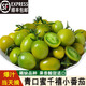 鑫果滋【順豐直達】青口蜜小番茄 山東綠色圣女果生吃水果新鮮綠千禧  精品裝 2斤
