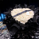 葉花朵99朵白玫瑰花束送女友鮮花速遞同城杭州上海廣州北京生日禮物配送 【高級感】99朵白玫瑰花束