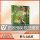沈石溪動物小說正版 中國動物小說品藏書系 野兔也瘋狂 沈石溪主編 人與自然神秘邂逅 動物小說名篇薈萃 fb