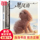 暴風(fēng)雨+獨生小孩（《紐約時(shí)報》情感教育繪本套裝精裝2冊）