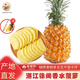 廣東湛江徐聞香水菠蘿 湛江大鳳梨  生鮮時(shí)令水果 整箱發(fā)貨 中小果 單果 500g起 9斤