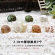 寄居蟹替換殼～房子大號小號天然貝殼海螺殼擺件裝飾魚(yú)缸造景備用 2-3cm蟹替換殼7個(gè)【組合裝B】