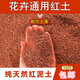 酸性紅泥土紅沙土紅土黃土黃泥土盆栽茶花土杜鵑花蘭花面土壤 10斤紅泥土(小顆粒)