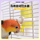 BIRDSTORY鸚鵡專用飲水器鳥食盒自動喂水器鳥食罐多功能鳥用懸掛水壺喂食器 240ML水壺【橫豎絲通用】