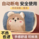 京家潔熱水袋充電式防爆暖寶寶女敷肚子毛絨可愛(ài)學(xué)生女可拆洗冬季暖手寶 小松鼠款【國標水袋+防爆充電器】