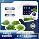 榮成海帶有機深海小海帶 海帶絲 200g/袋*3袋