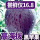 【順豐可選】正宗黑蘋(píng)果高山冰糖心甘肅花牛5斤應季水果禮盒整箱M 4個(gè)普郵嘗鮮裝