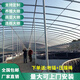 蔬菜大棚骨架全套溫室大棚種植養(yǎng)殖保溫橢圓管養(yǎng)雞鴨棚豬牛羊圈舍 標(biāo)配種植大棚+進口無滴膜 32圓管橢圓管定制請聯(lián)系客服