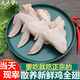 當(dāng)天現(xiàn)殺雞翅新鮮雞全翅農(nóng)家散養(yǎng)草雞翅膀三節(jié)翅燒烤鹵水食材雞肉 雞全翅【3斤】